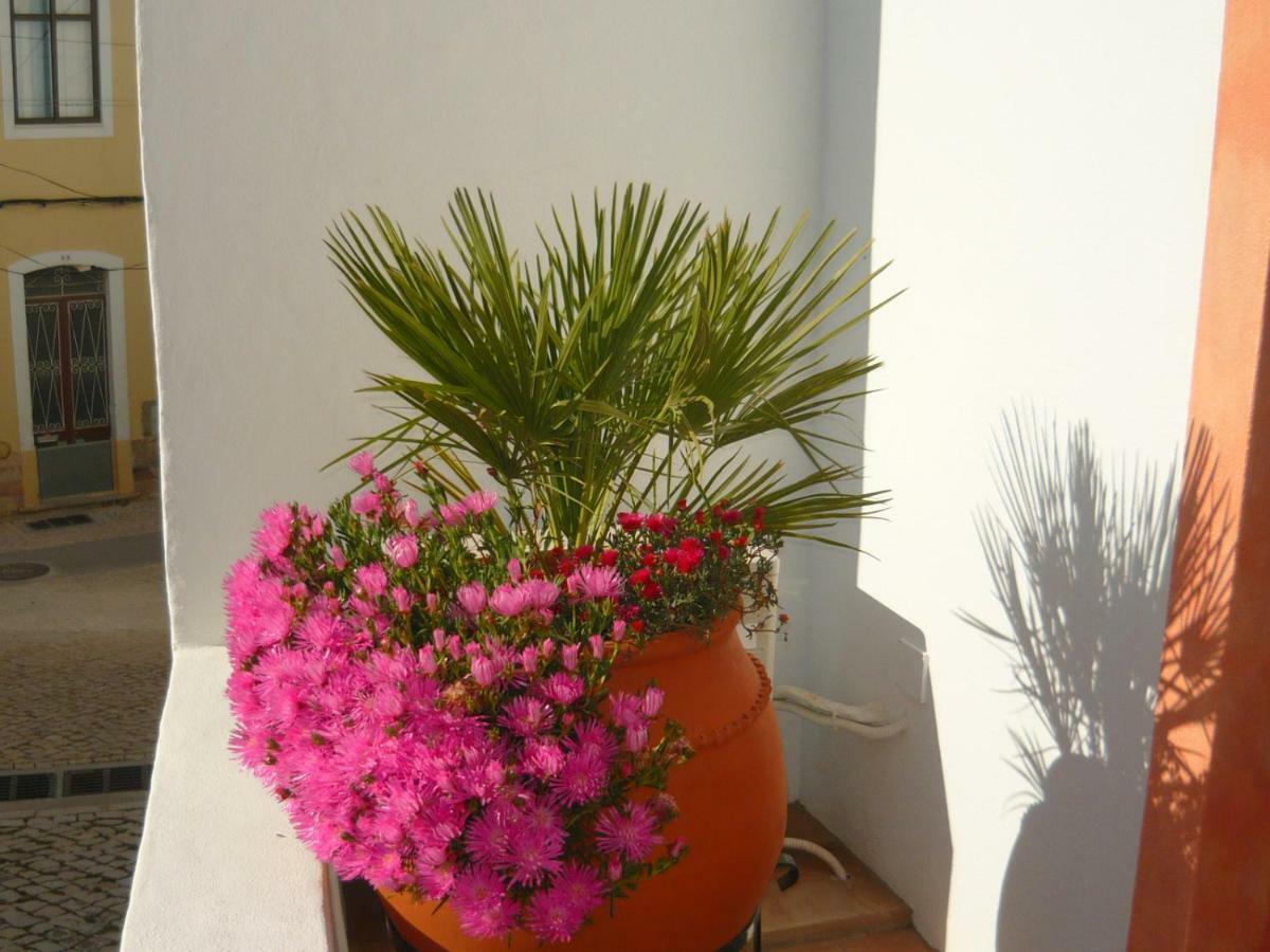 Hébergement de vacances Casa Do Gato